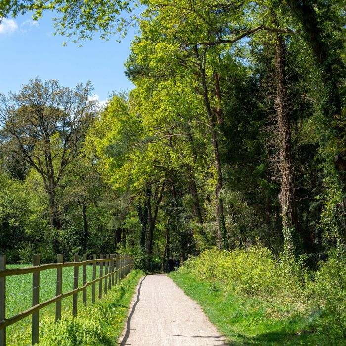 burnout-coaching-hilversum-authentiek-leiderschap